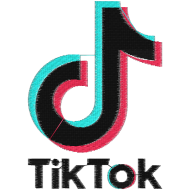 Matriz de Bordado TikTok